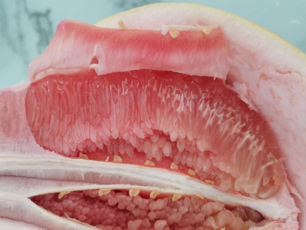 又到了吃柚子的季节啦