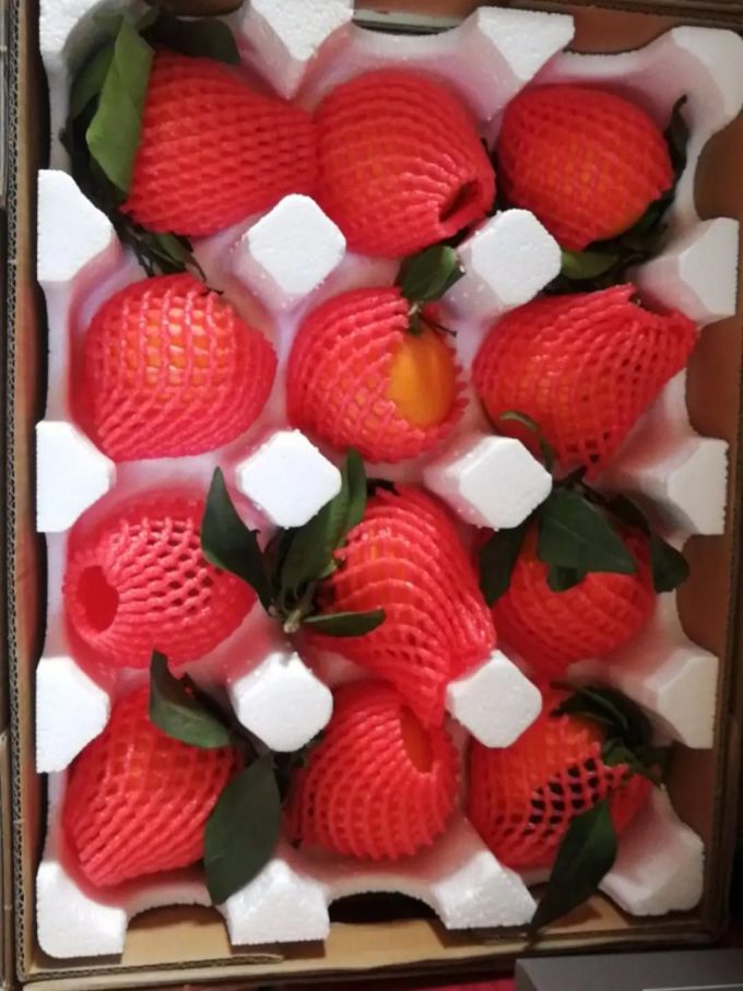 鲜菓篮橘/桔