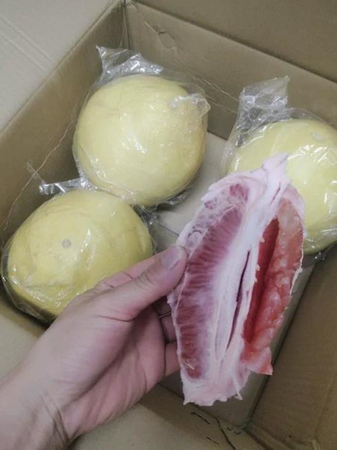 新鲜水果