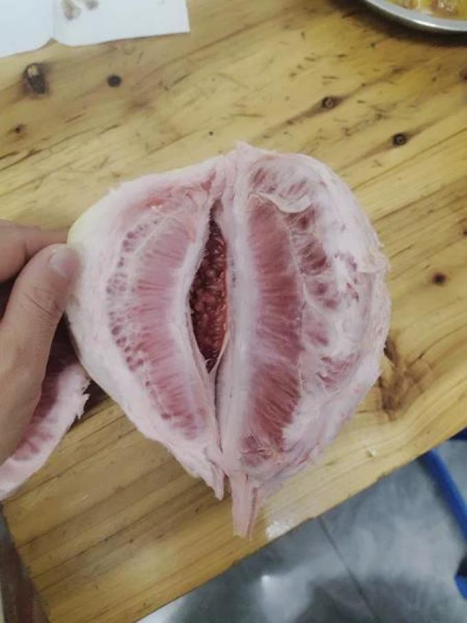 新鲜水果