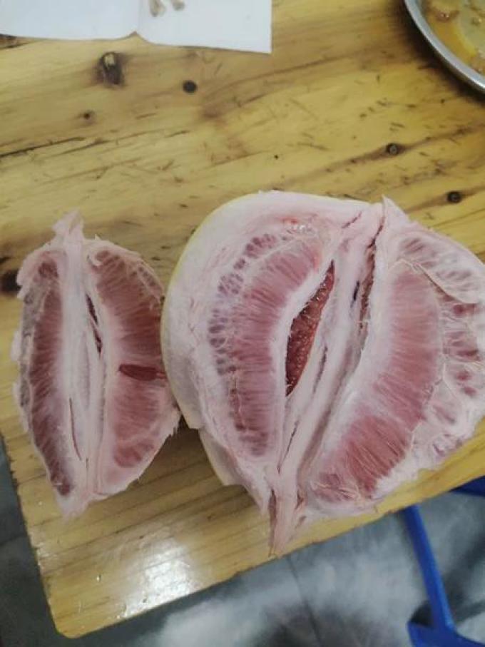 新鲜水果