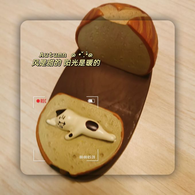 其他数码配件