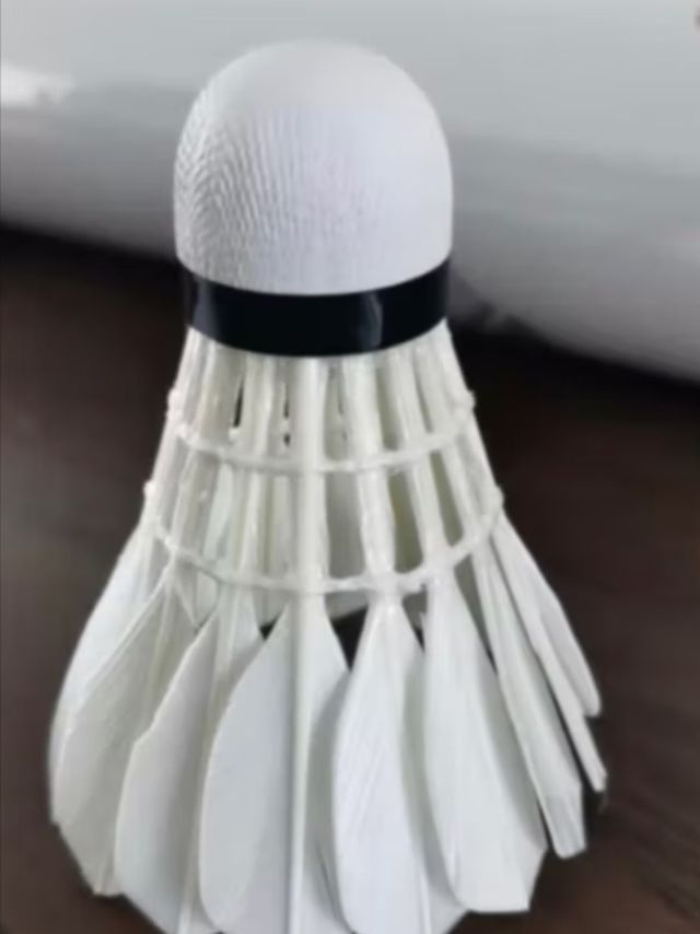 玩的最高境界就是运动
