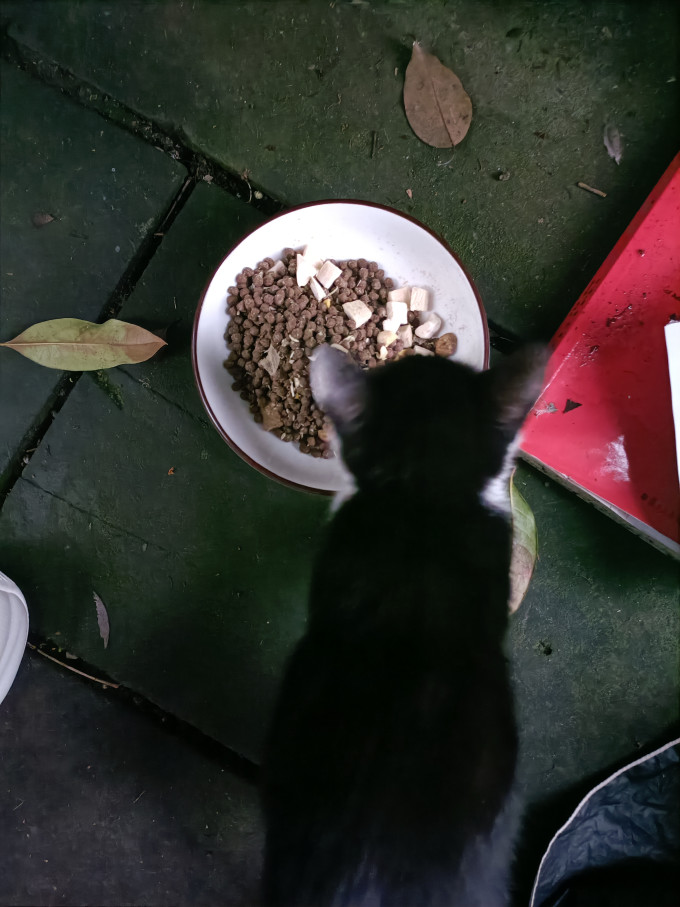 网易严选猫粮