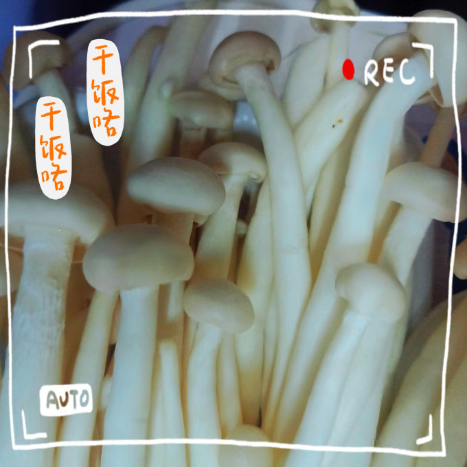 绿鲜知蔬菜