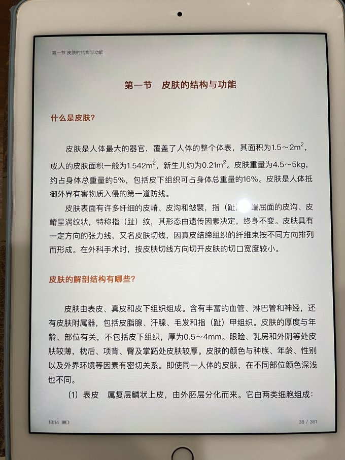 苹果iPad