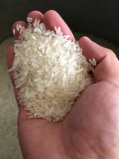 煮出来的米饭非常香，米粒饱满修长
