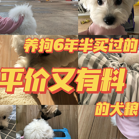 双11囤粮攻略！养狗6年半，买过的平价又有料的犬粮