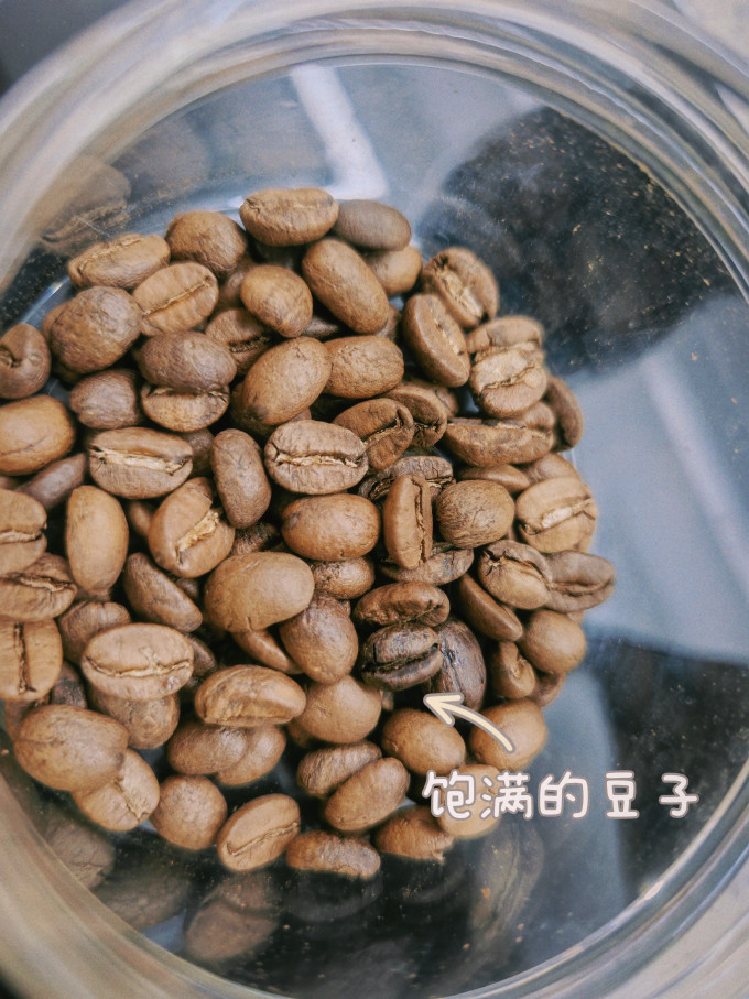泰摩磨豆机