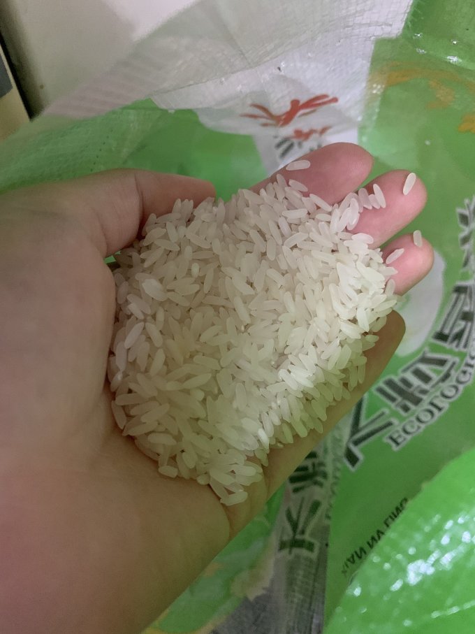 十月稻田大米