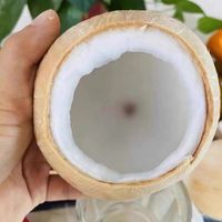 清甜解渴海南小椰子