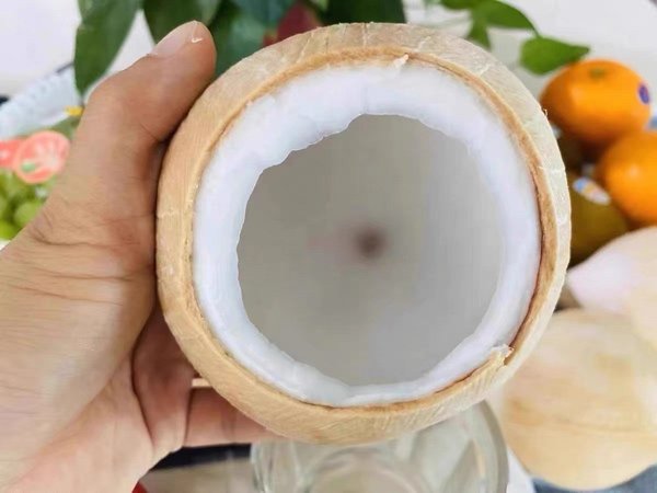 清甜解渴海南小椰子