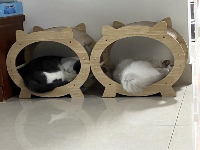 喵仙儿猫抓板
