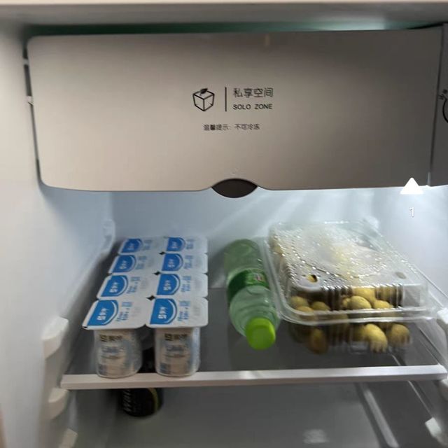 疫情时代下第二台冰箱