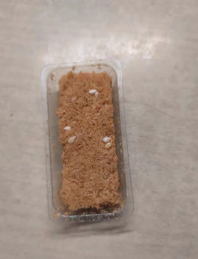 猴派果饼干
