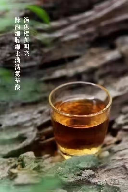 白茶