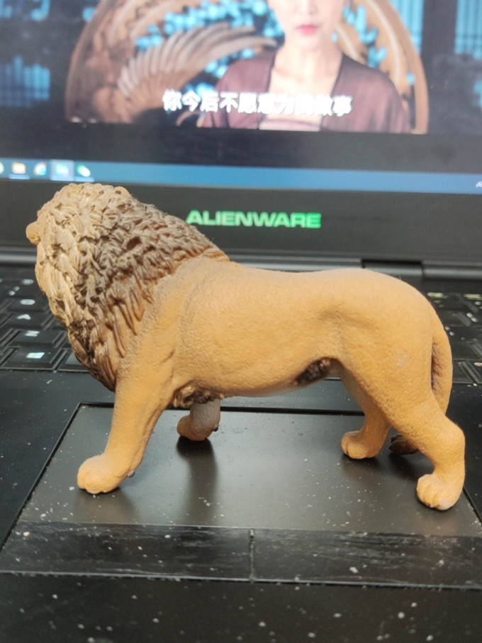 思乐动物模型