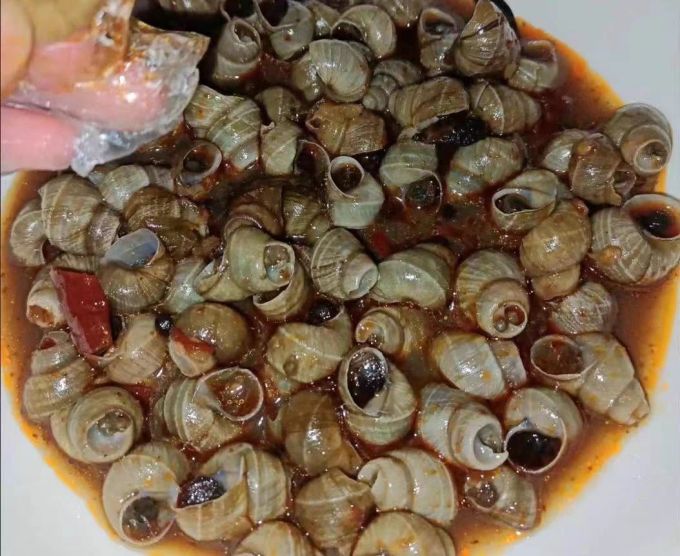 其他方便食品