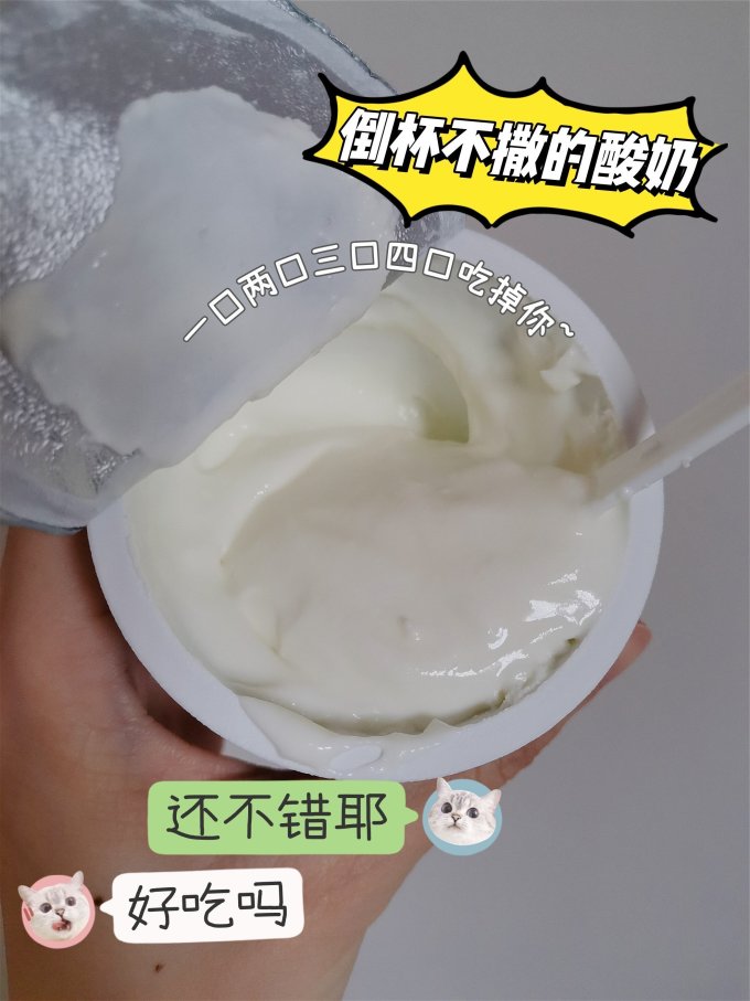吾岛牛奶低温酸奶