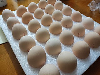 鸡蛋——每天都吃，一直吃不腻