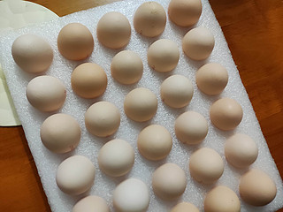鸡蛋——每天都吃，一直吃不腻