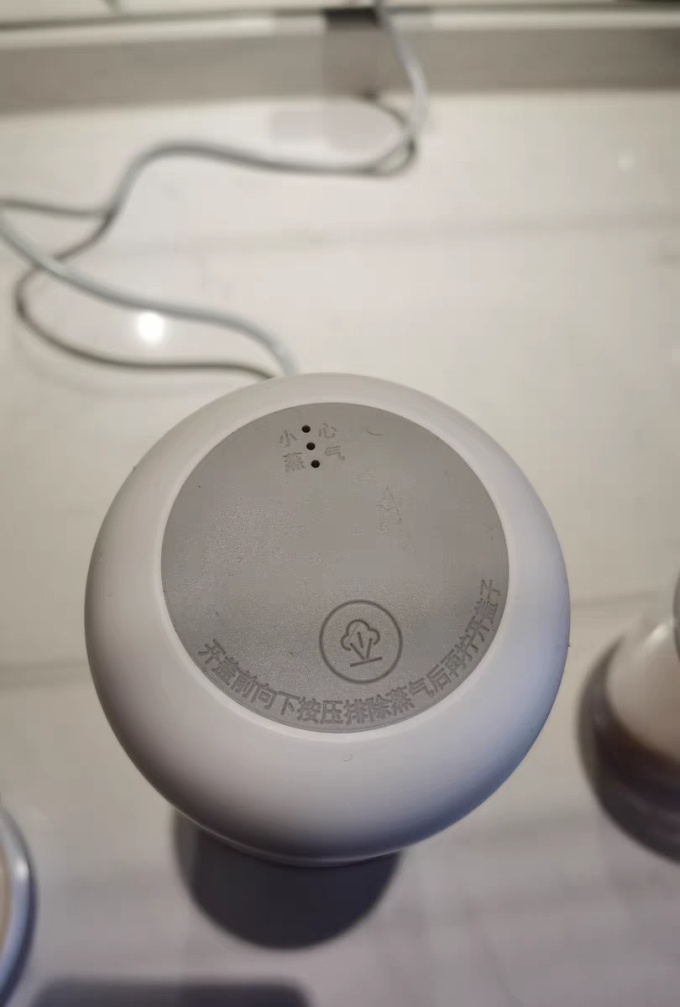 德尔玛电水壶
