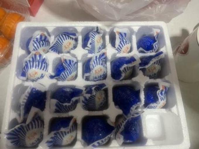 三客游蛋类