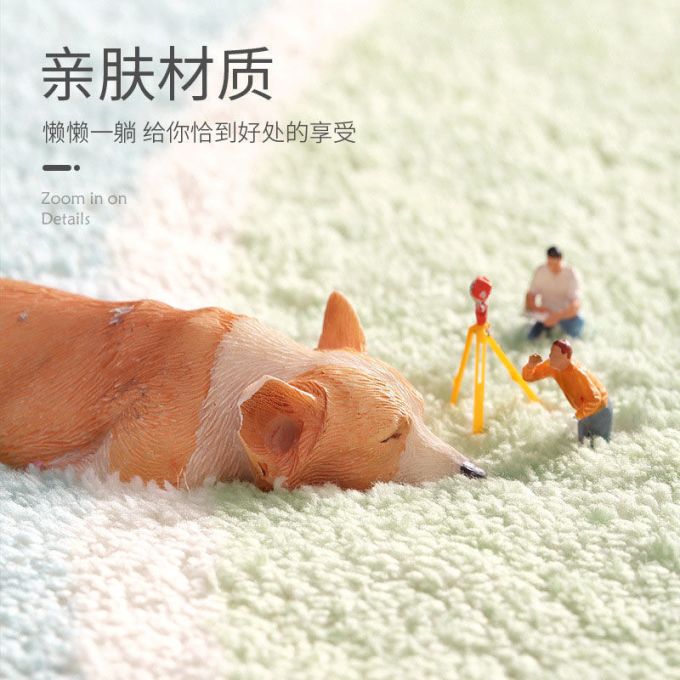 地毯