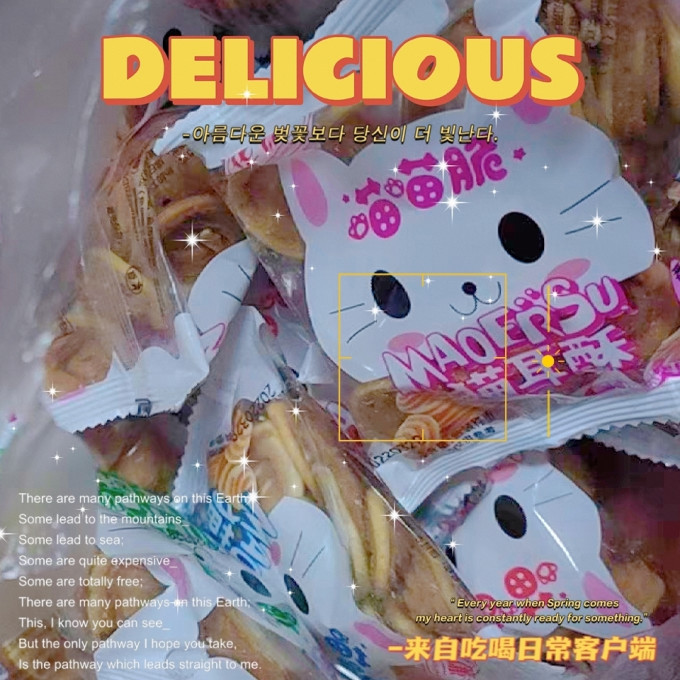 华廉其他休闲零食
