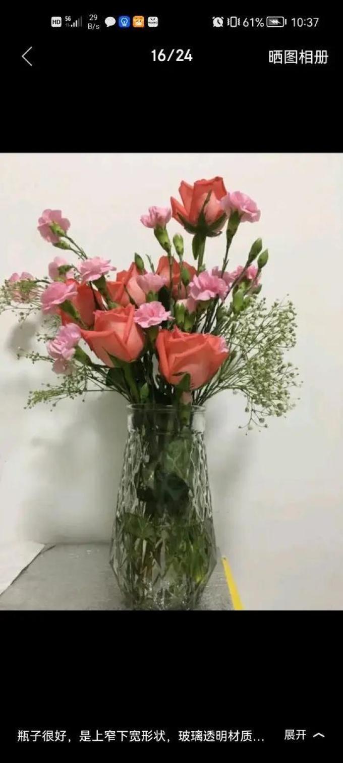 墨斗鱼花瓶花器