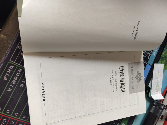 北方文学出版社小说