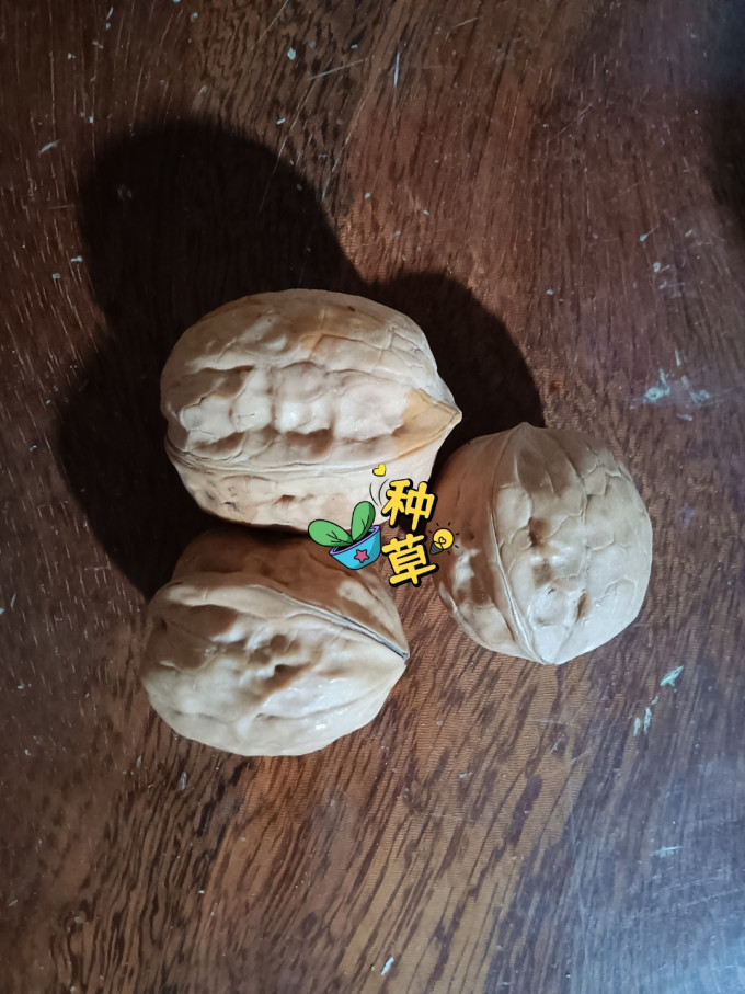 鲜仙鲜核桃