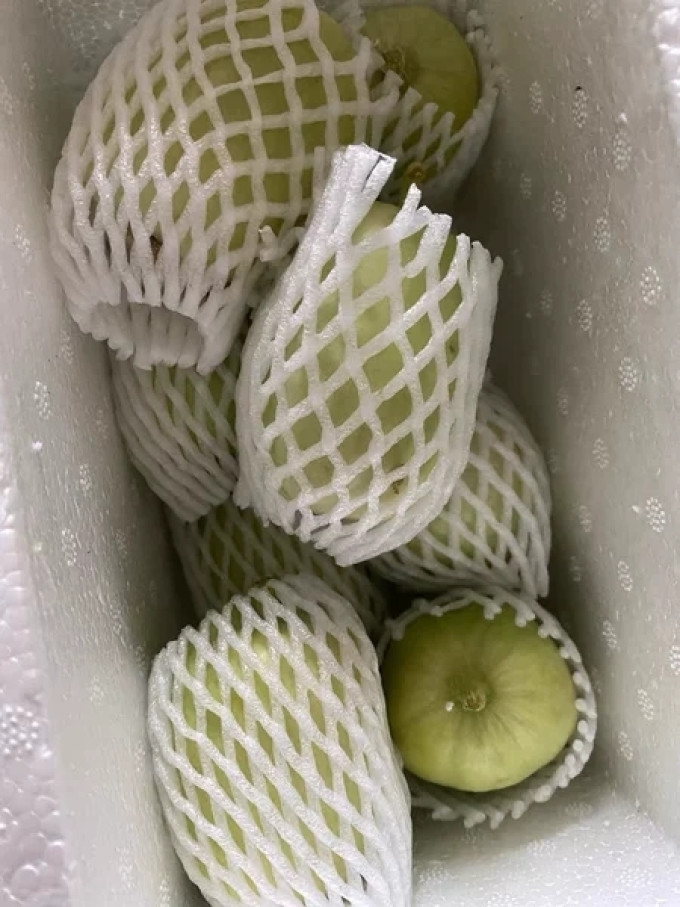 农大姐妹蔬菜