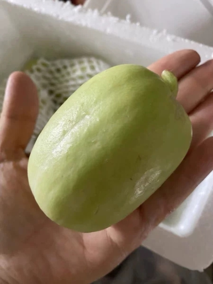 农大姐妹蔬菜