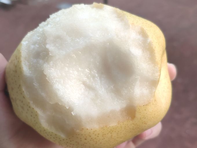 聚牛果园其他水果