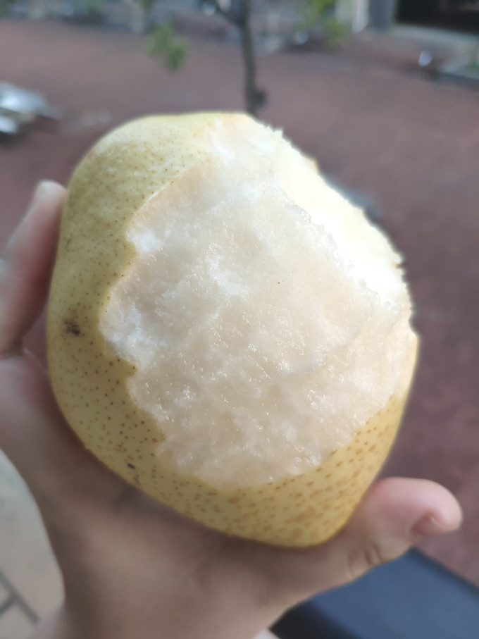聚牛果园其他水果