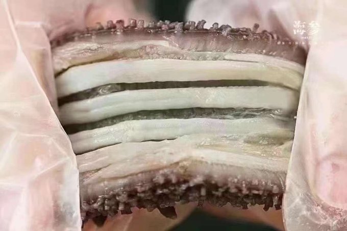 久年参鲍
