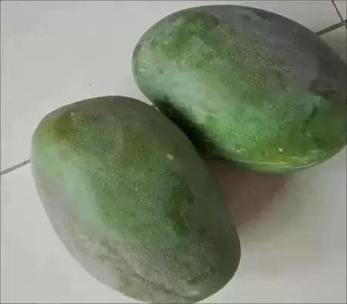 糖宝果鲜芒果