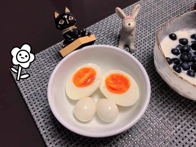 黄天鹅蛋类
