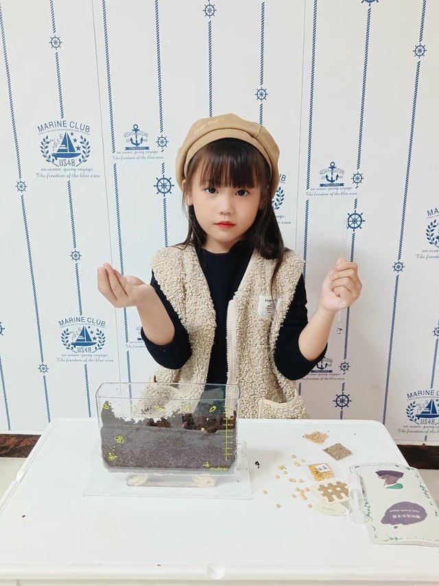 儿童科学小实验，植物种植