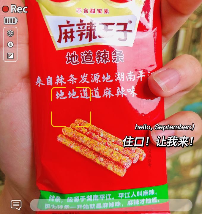 麻辣王子其他休闲零食