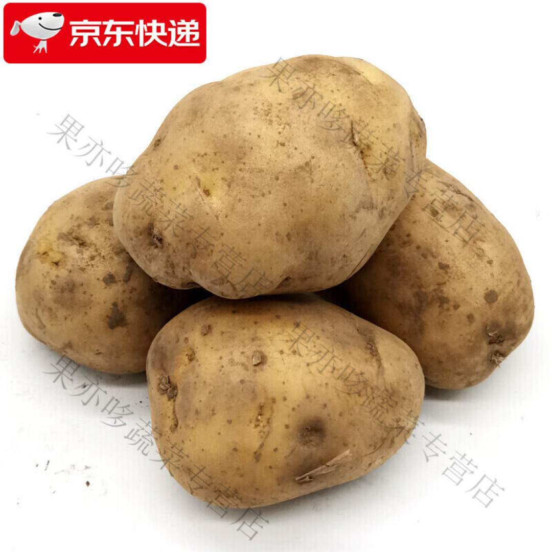 这个冬天你囤菜了吗？