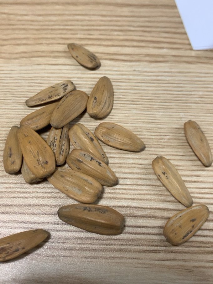 金鸽坚果炒货
