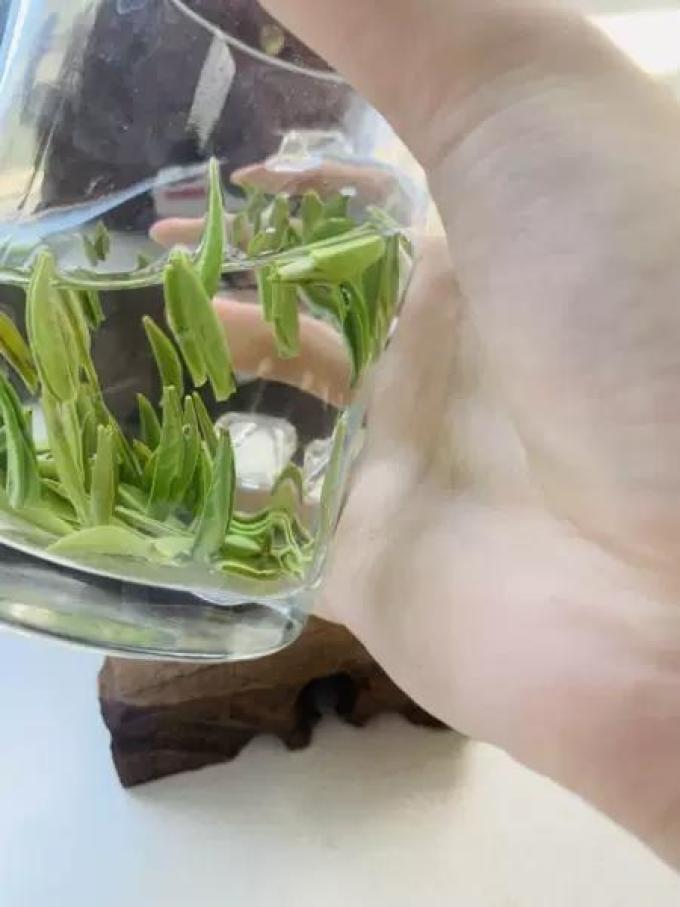 中闽峰州绿茶