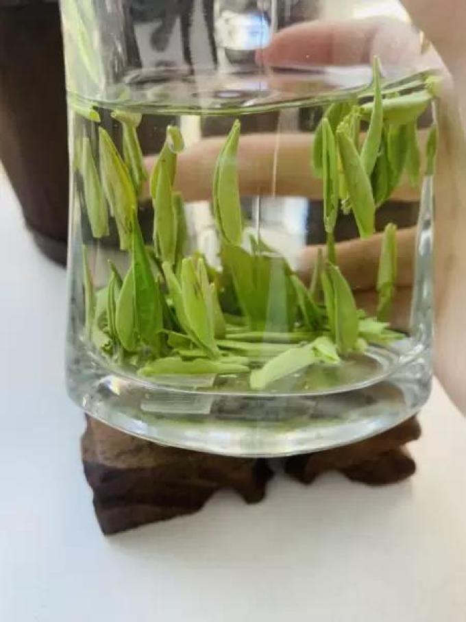 中闽峰州绿茶