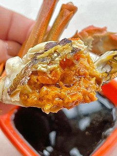 超美味且多膏的螃蟹