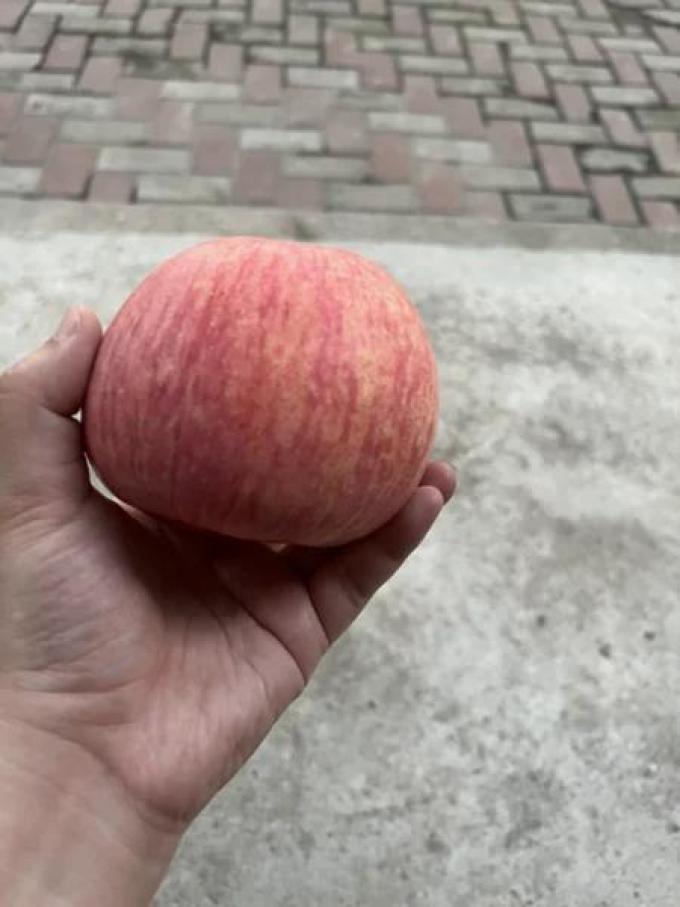 苹果