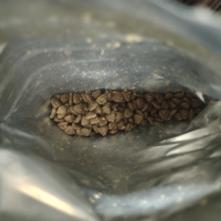 适合喂流浪猫猫的麦富迪鱼油猫粮
