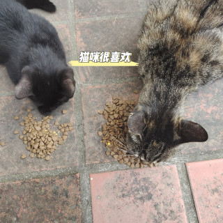 适合喂流浪猫猫的麦富迪鱼油猫粮