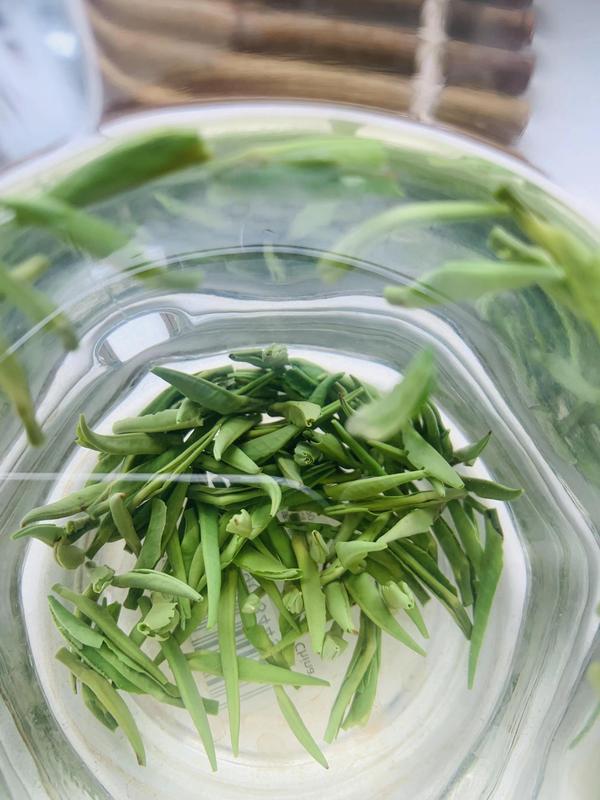 雀舌茶水清亮翠绿，看着非常新鲜，闻着一股